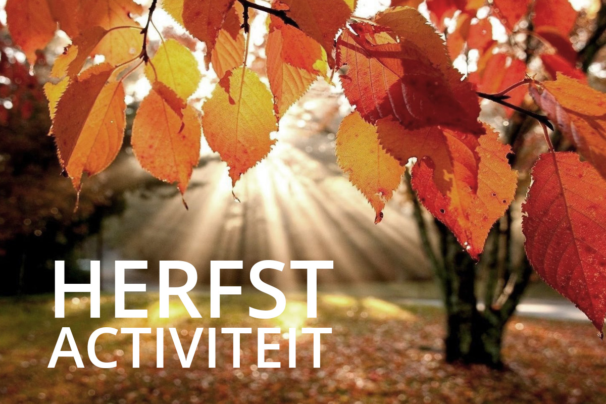 Herfstactiviteit 2019
